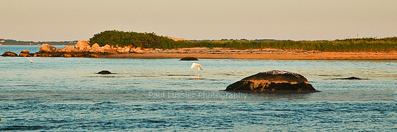 Taking Flight
