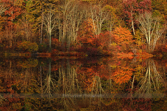 Early Light - Autumn