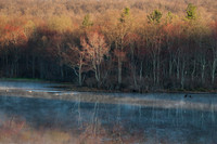 Spring Morning