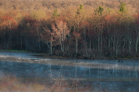 Spring Morning