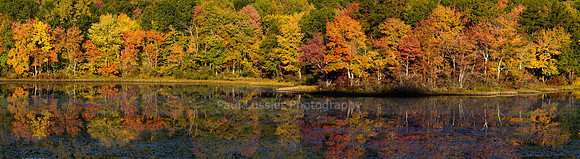 Autumn Morning