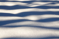 Shadow On Snow