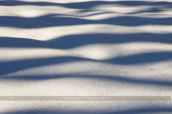 Shadow On Snow