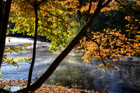 Autumn Morning Light