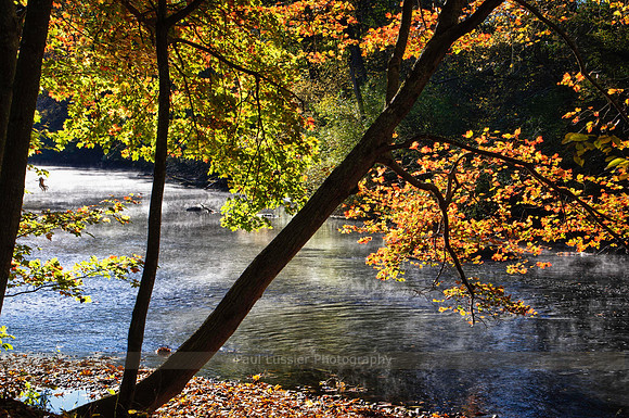 Autumn Morning Light