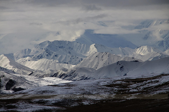 Denali Afternoon Light
