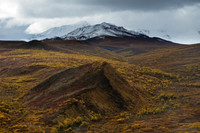 Mound In Autumn