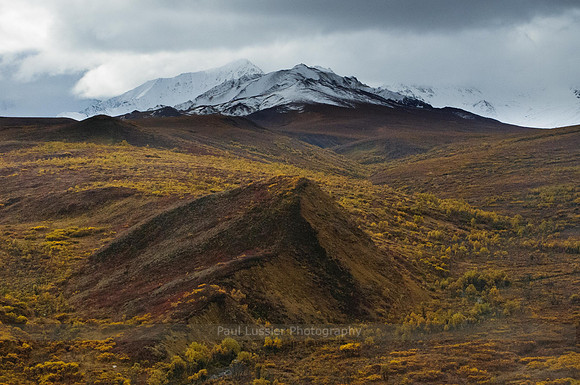 Mound In Autumn