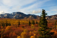 Autumn Morning