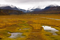 Alaskan Mountain Range