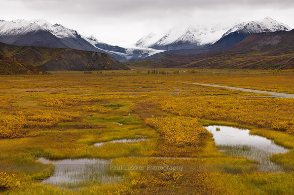 Alaskan Mountain Range