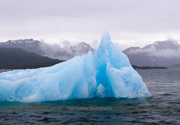 Iceberg
