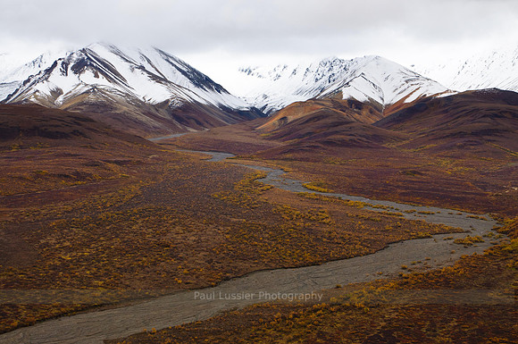 Autumn River Bed