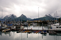 Valdez Harbor