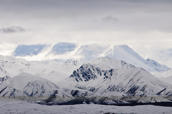 Denali In The Clouds