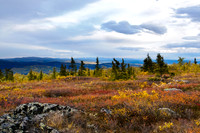 View From Murphy Dome