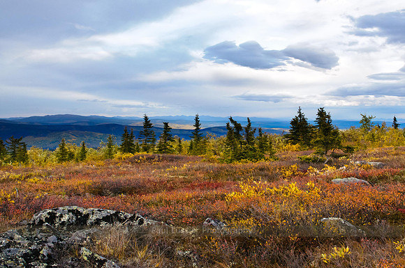 View From Murphy Dome