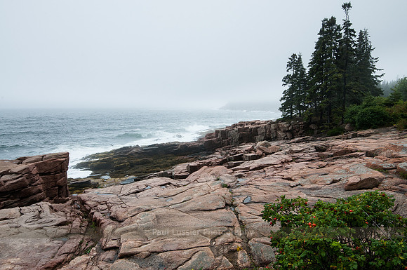 Grey Day Shoreline