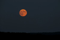 Super Moon Rise