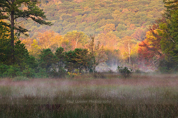 Early Autumn