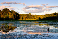 Evening Texture