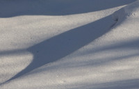 Shadow Ridge