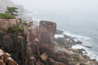 Acadia Nat'l Park