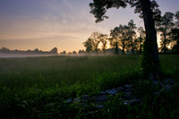 Morning Glow