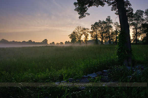 Morning Glow