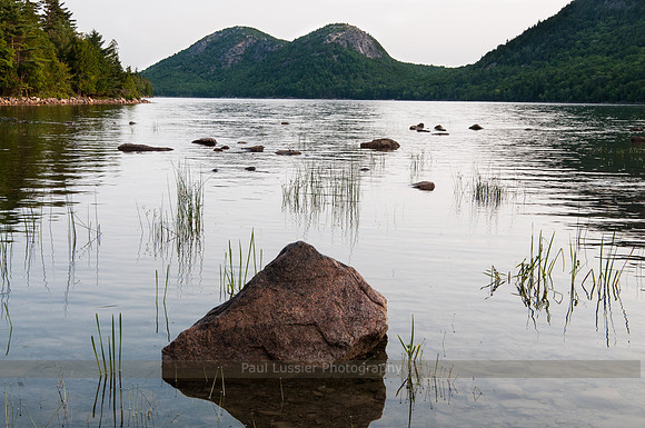 Jordan's Pond View