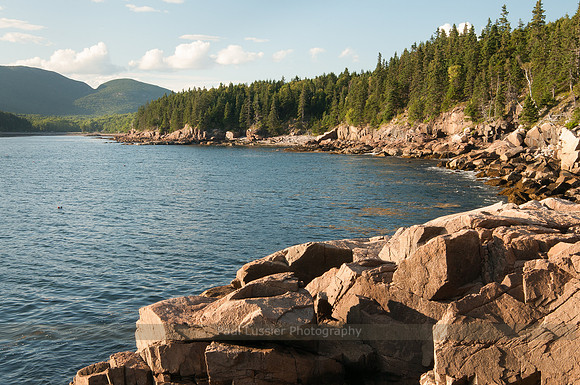 Otter Cove Afternoon