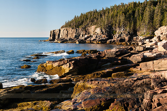 View To Otters Cliff