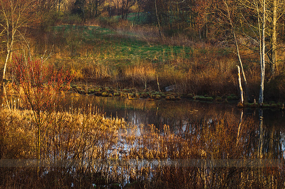 35. Morning Light