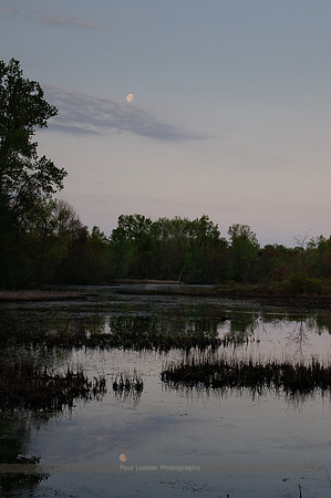Before Sunrise, Bolton Notch Pond