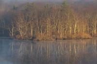 Spring First Light