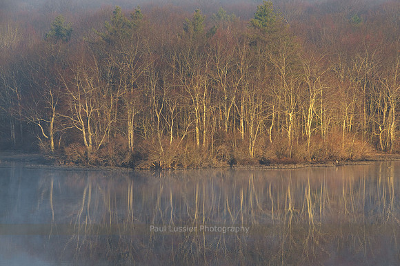 Spring First Light