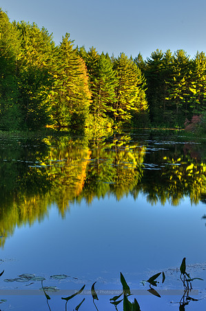 Reflections, Bigelow Hollow