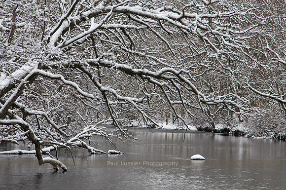 Snow Cover