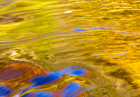 Autumn Reflection