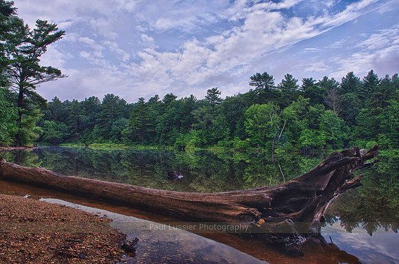 Water's Edge