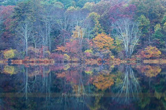 Autumn Finale