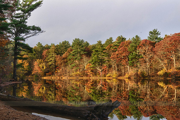 Early Autumn Lake Morning