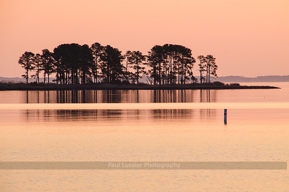 Bar Neck Sunrise