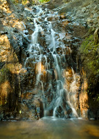 Late Afternoon Cascade & Moss