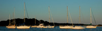 Sails at Evening Light