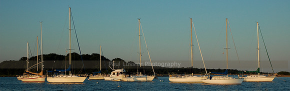 Sails at Evening Light