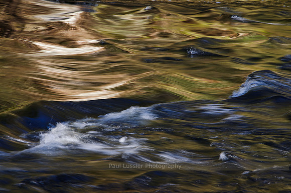 24. Natchaug Forest River