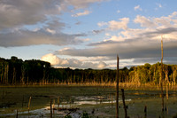After The Storm