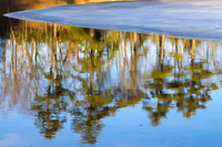 Spring Reflection