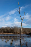 Airline Trail Winter